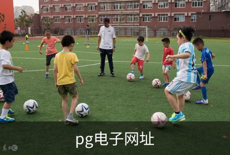 pg电子网址简介
